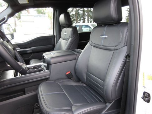 New 2025 Ford F250 Platinum image 12