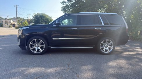 Used 2015 Cadillac Escalade Luxury image 5