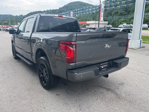 New 2025 Ford F150 STX w/ STX Black Appearance Package image 11