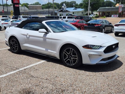 Used 2022 Ford Mustang Premium image 12