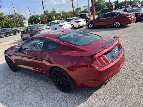 Used 2015 Ford Mustang GT Premium w/ Equipment Group 401A image 12