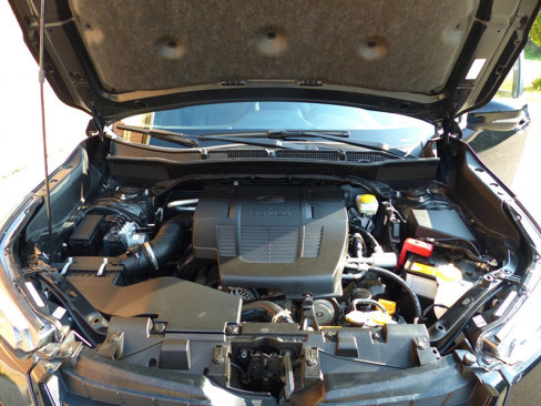 Used 2024 Subaru Forester Limited image 13