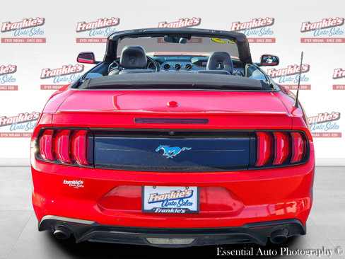 Used 2023 Ford Mustang Premium image 5