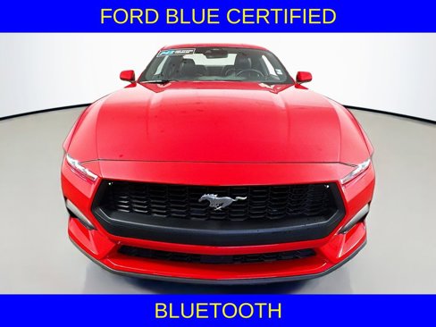 Certified 2024 Ford Mustang Premium image 2