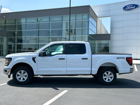 New 2025 Ford F150 XL w/ Equipment Group 103A High image 12