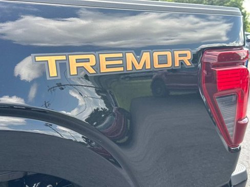 New 2025 Ford F150 Tremor image 19