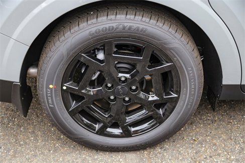 New 2026 Kia Carnival SX Prestige image 11