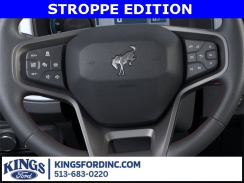 New 2025 Ford Bronco Stroppe Edition image 14