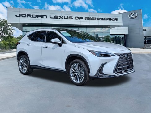 Used 2025 Lexus NX 300h AWD w/ Luxury Package image 7