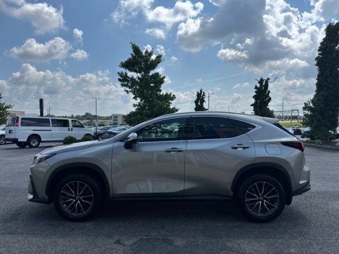 Used 2024 Lexus NX 350 AWD image 17