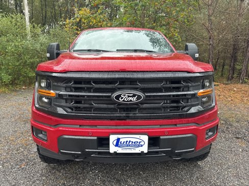 New 2025 Ford F150 XLT w/ Equipment Group 303A High image 2