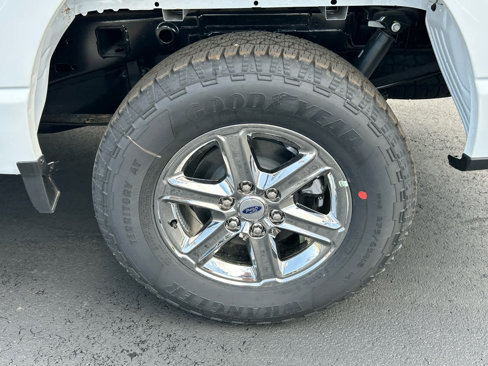 New 2025 Ford F150 XLT w/ Equipment Group 301A Standard image 14