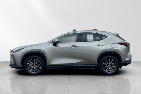 Certified 2025 Lexus NX 350h AWD w/ Premium Package image 3
