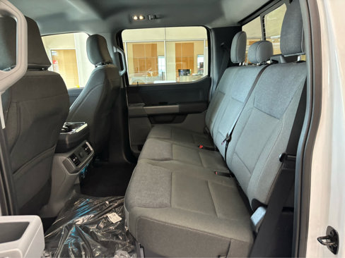 New 2025 Ford F150 XLT w/ Equipment Group 302A MID image 19