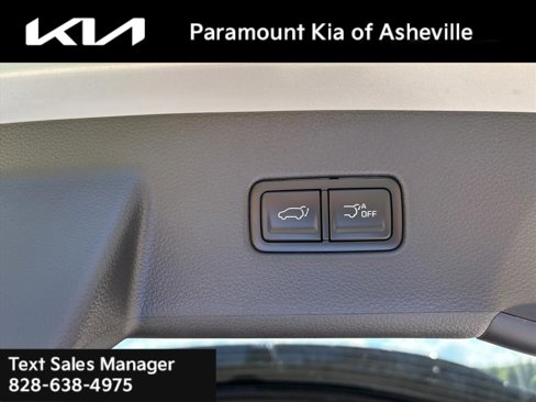 New 2026 Kia Carnival SX Prestige image 28