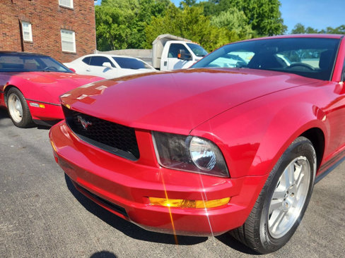 Used 2008 Ford Mustang Premium image 12