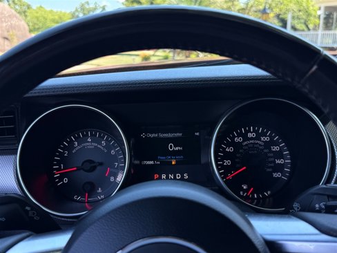 Used 2019 Ford Mustang GT w/ Black Accent Package image 36