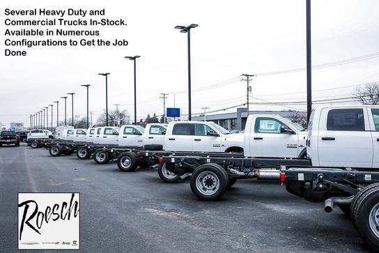 Larry Roesch Chrysler Jeep Dodge Ram Promaster Car