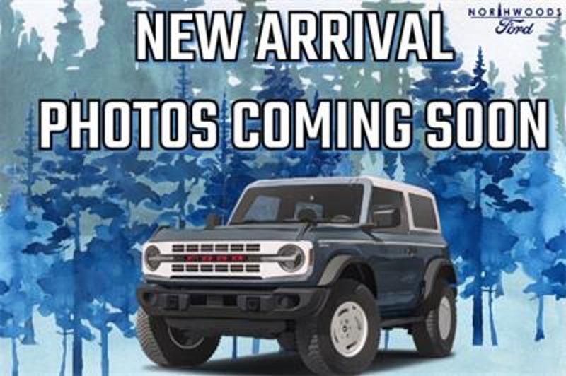 New 2025 Ford F250 4x4 Regular Cab Super Duty image 1