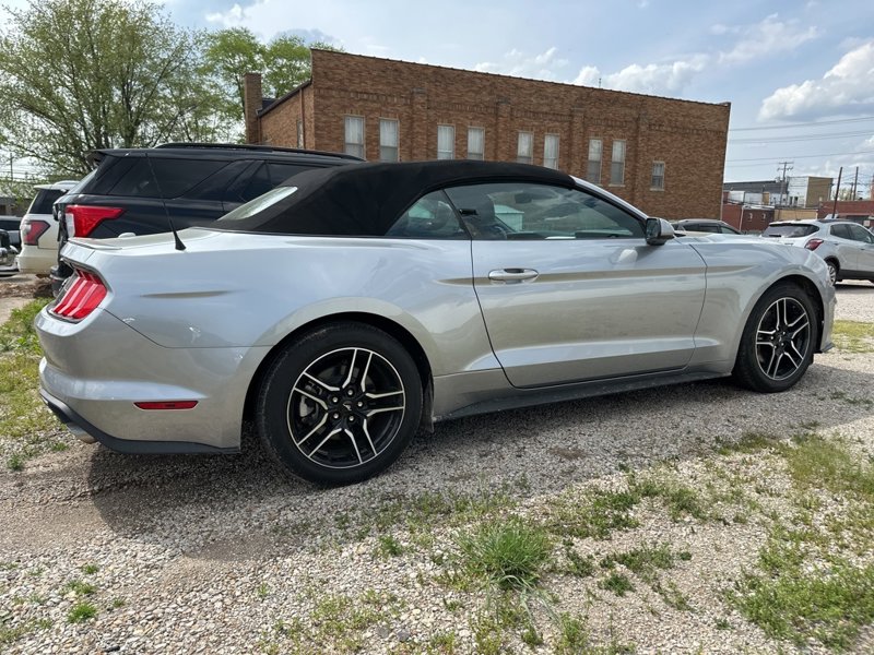 Used 2023 Ford Mustang Premium image 1