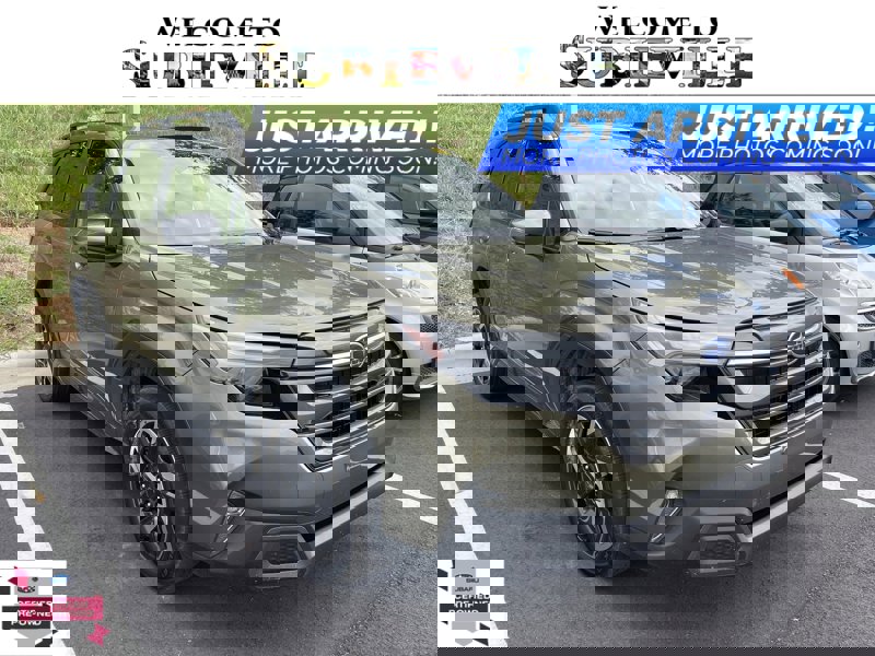 Certified 2025 Subaru Forester Limited image 1