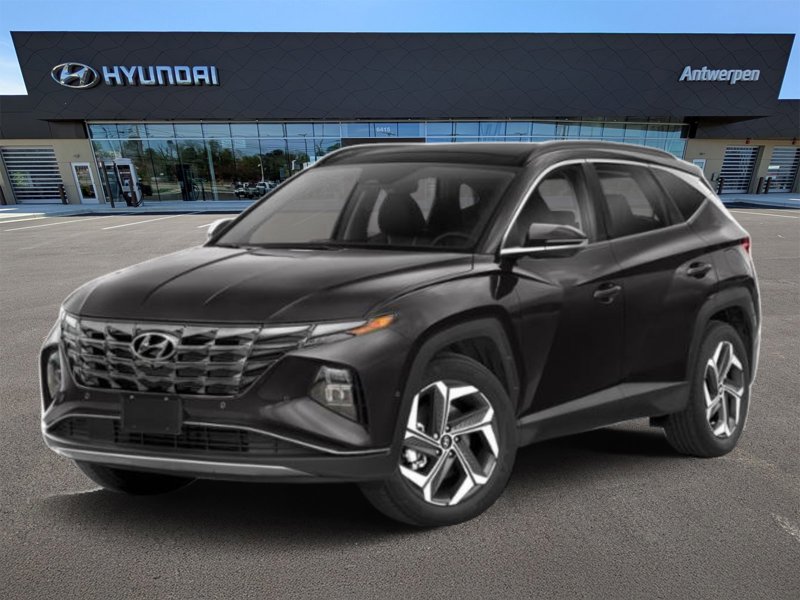 Certified 2022 Hyundai Tucson Limited w/ Winter Package image 1
