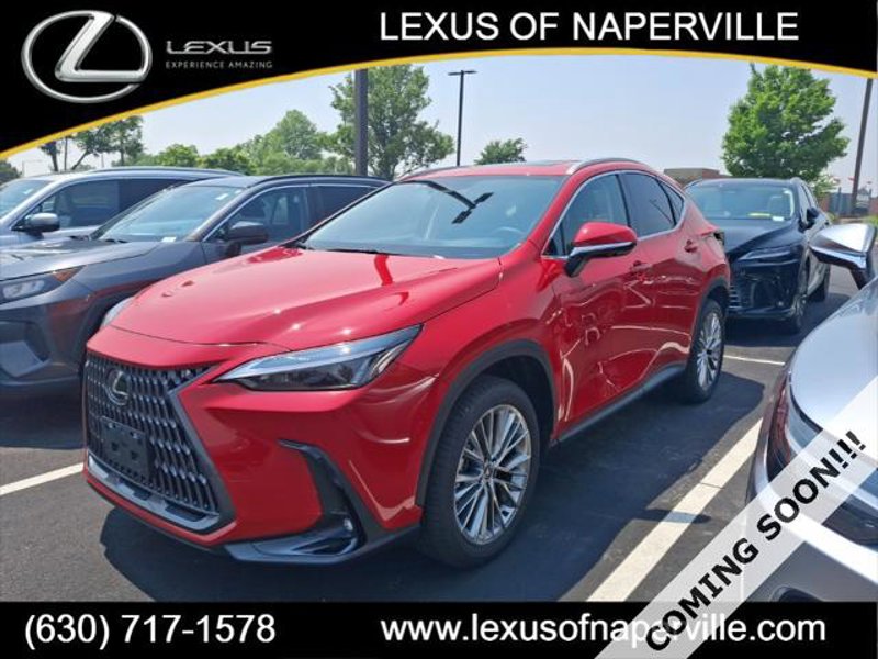 Certified 2025 Lexus NX 350h AWD w/ Premium Package image 1