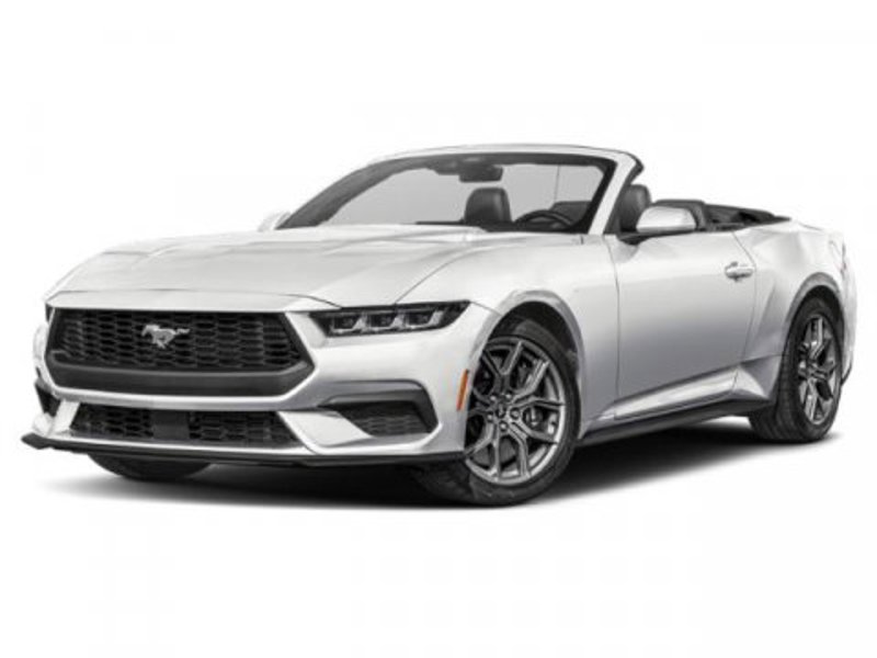 Used 2024 Ford Mustang Premium image 1