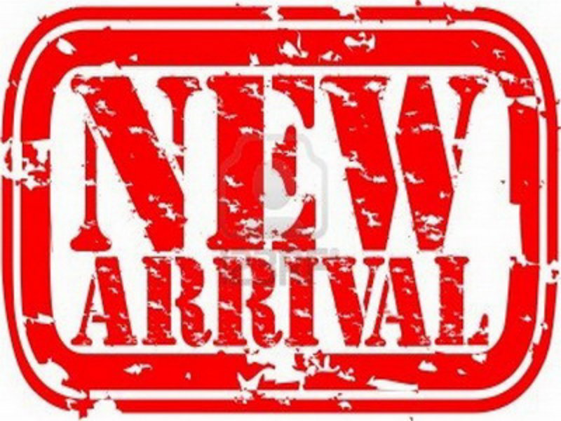 Used 2024 Chrysler Pacifica Touring-L image 1