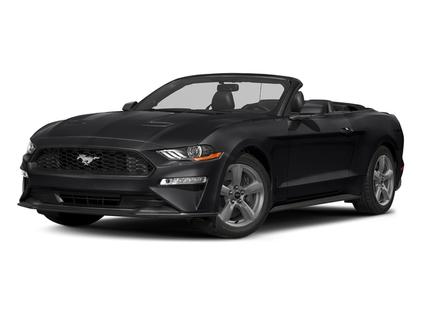 Certified 2019 Ford Mustang GT Premium w/ Equipment Group 401A image 1